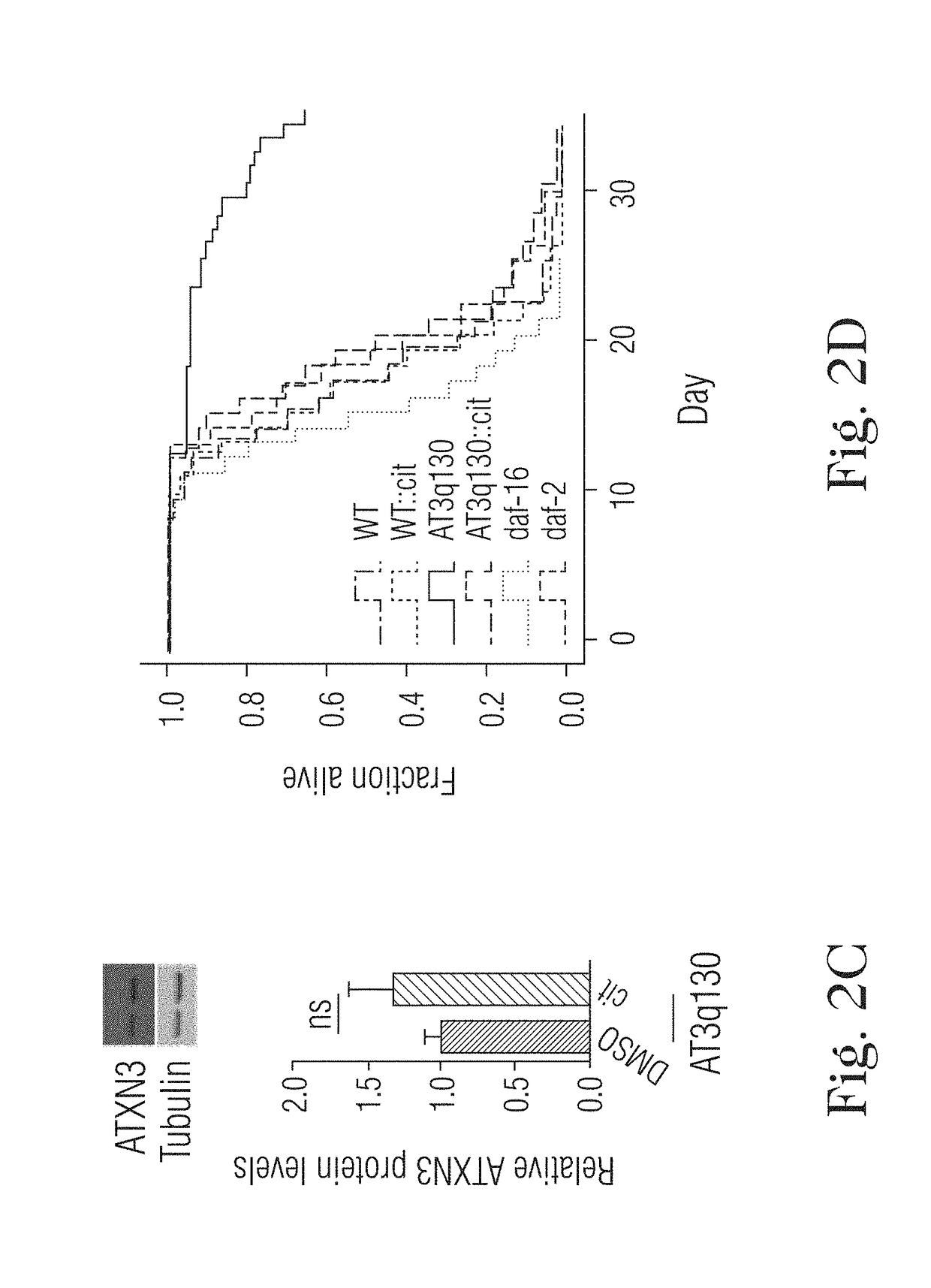 Citalopram or escitalopram for use in the treatment of neurodegenerative diseases