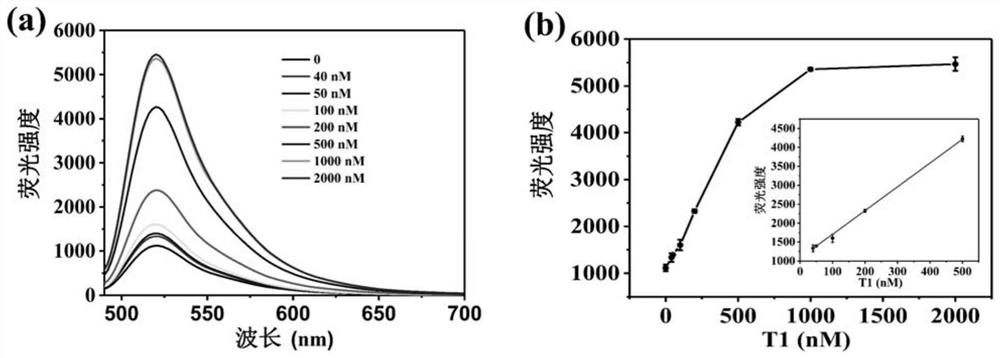 Method for detecting target nucleic acid based on cationic conjugated polymer and nuclease-assisted cyclic amplification