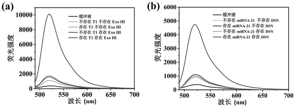 Method for detecting target nucleic acid based on cationic conjugated polymer and nuclease-assisted cyclic amplification