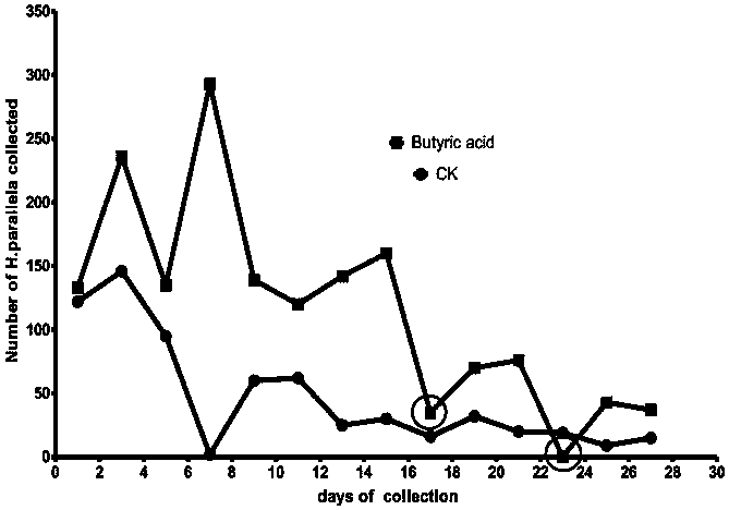 Cow dung derived attractant for preventing and treating holotrichia parallela adults