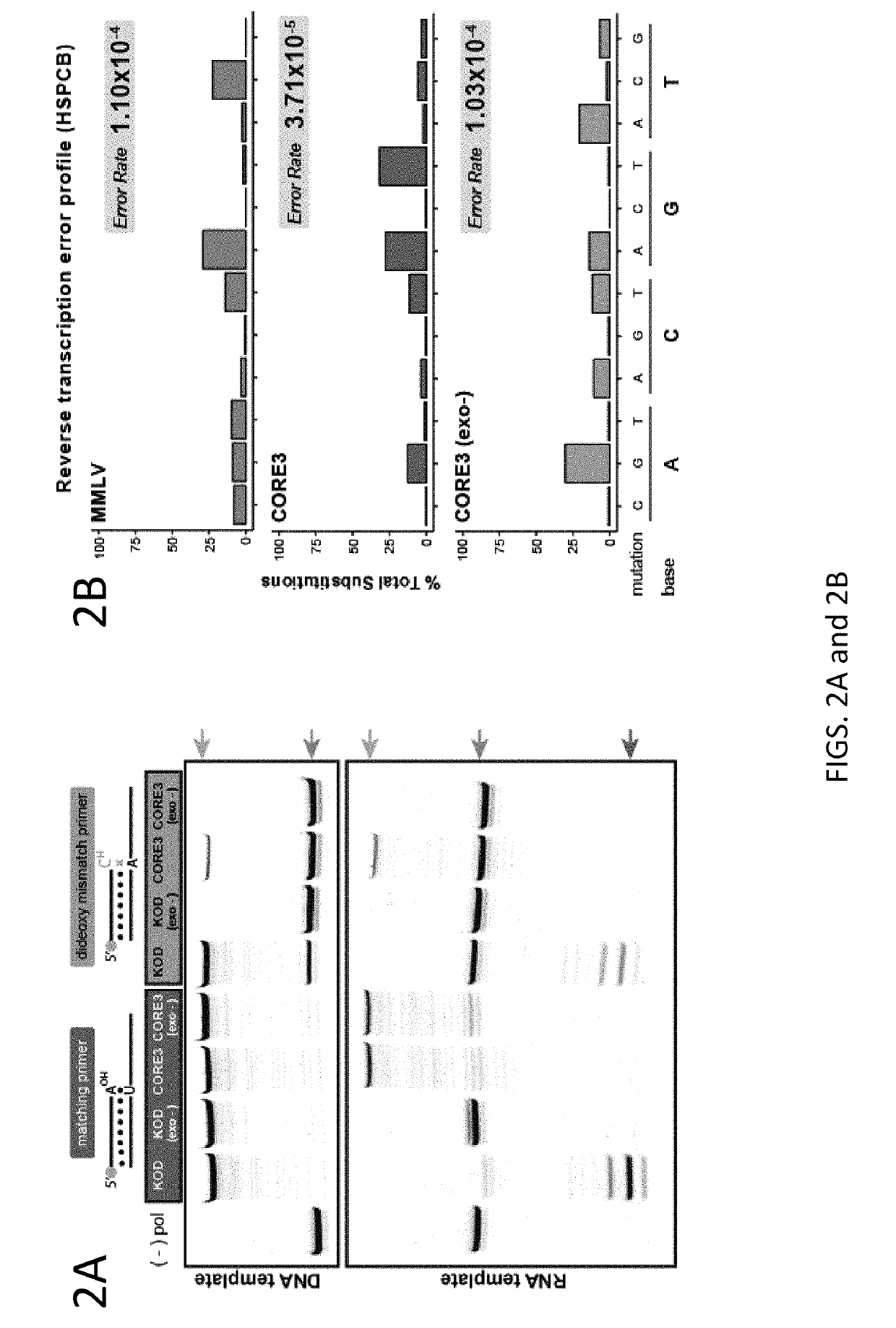 Thermostable reverse transcriptase