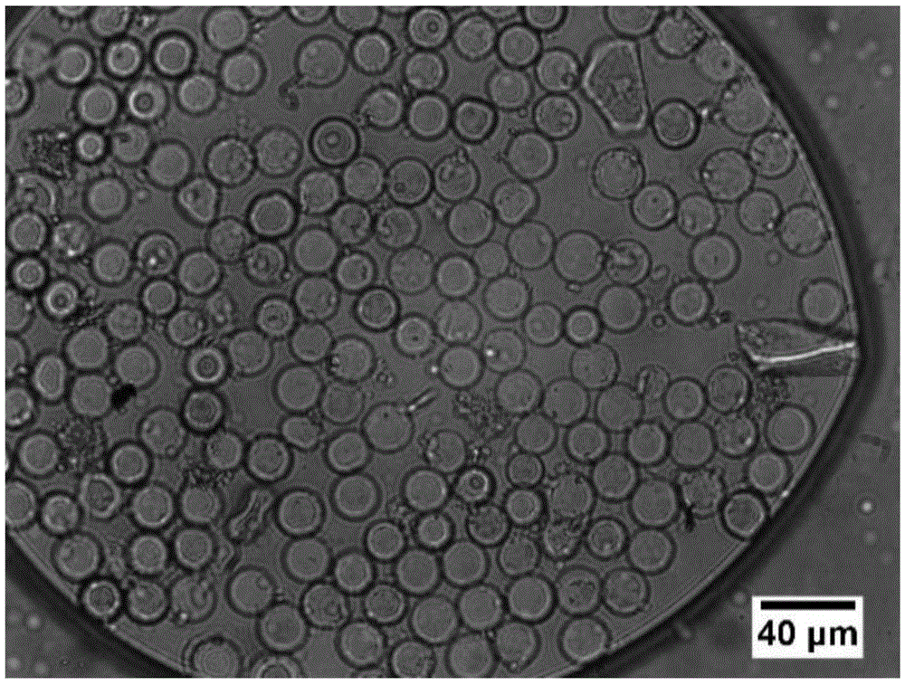 Preparation method of monodisperse quantum dot micro spheres with optical gain property