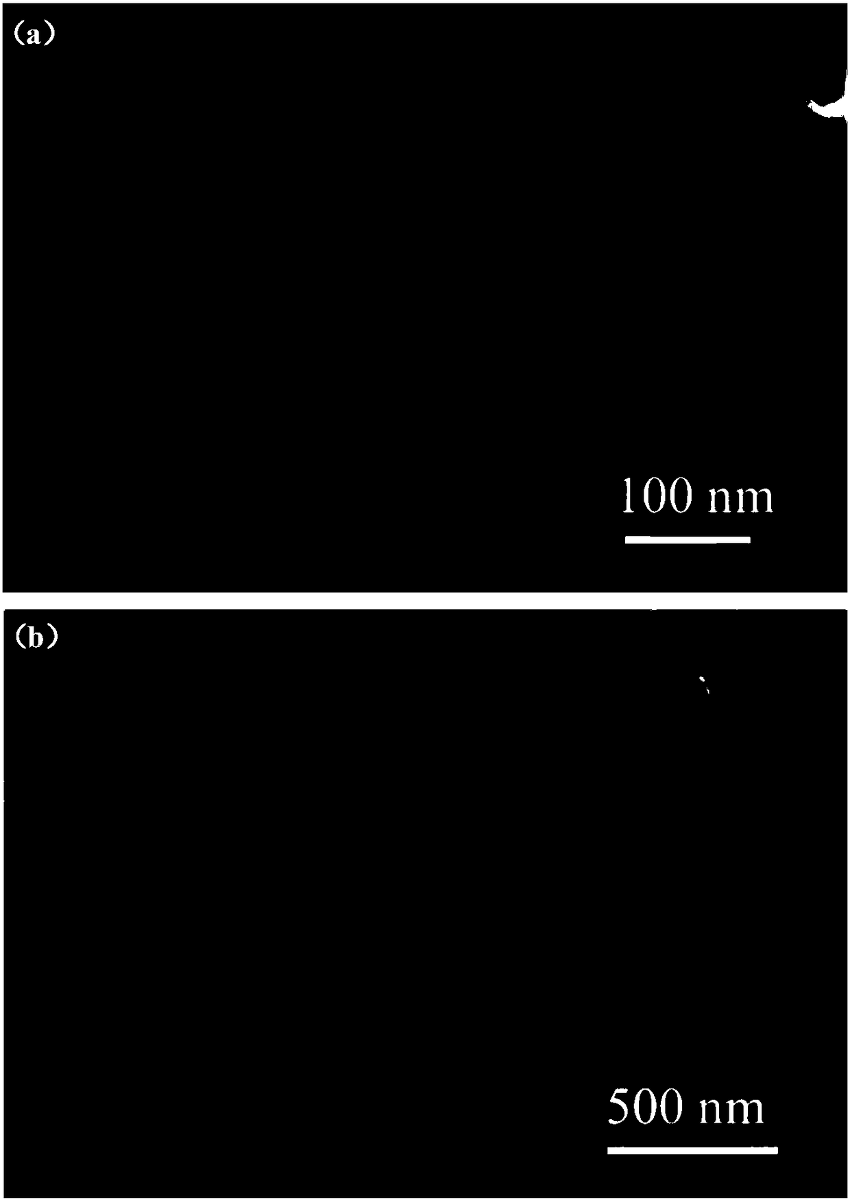 Anti-radiation damage metal nanocrystalline/carbon nano tube composite material and preparation method thereof