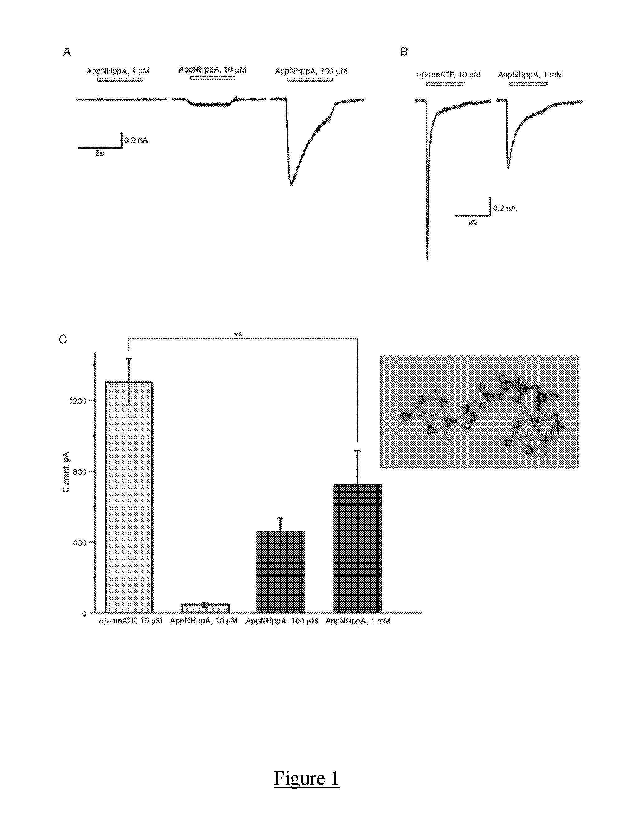 Dinuceloside polyphosphates for the treatment of pain