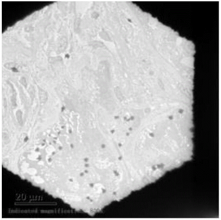 Vacuum dyeing method for ultrathin sections of electron microscope