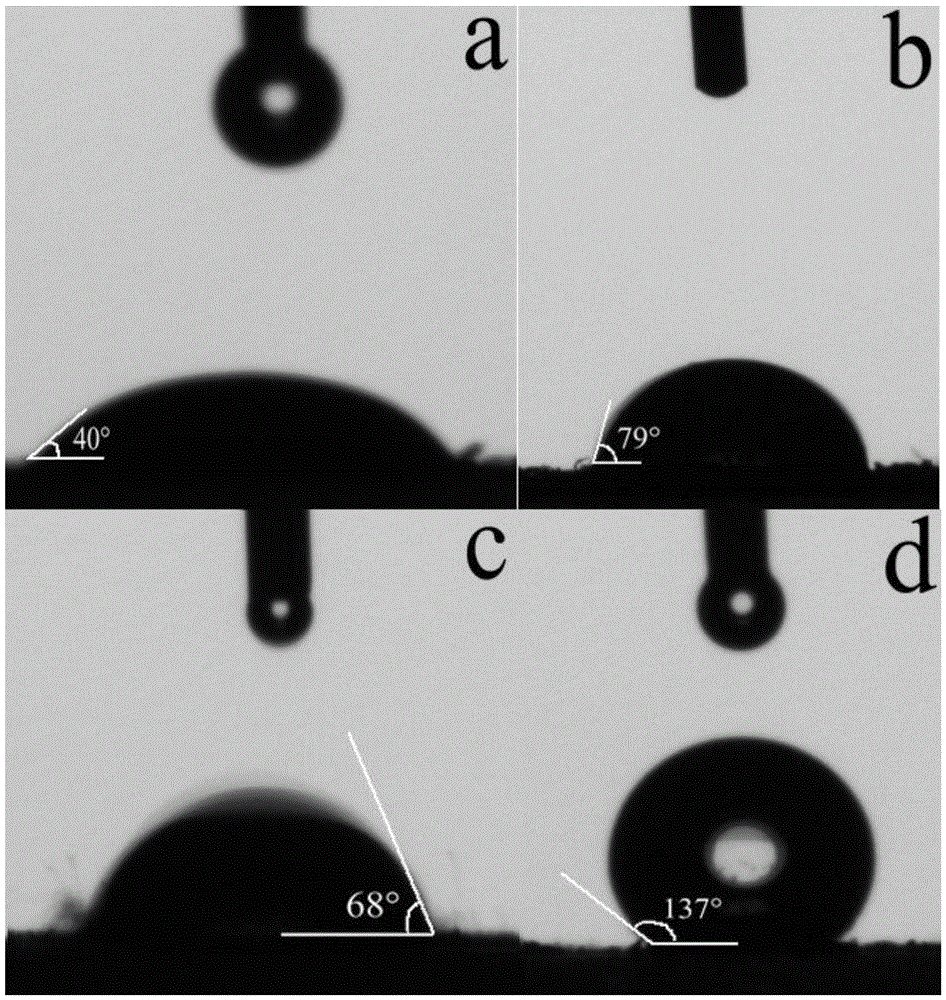 A preparation method of yeast magnetic imprinted composite microsphere adsorbent