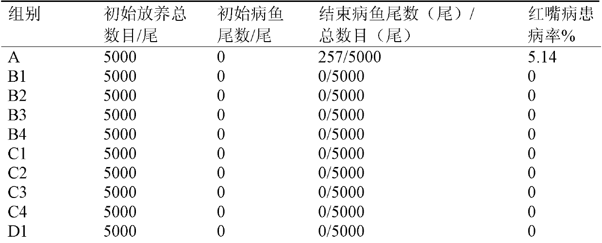 Application of photosynthetic bacterium and bacillus subtilis mixed bacterial liquid in preparing microbial inoculum for preventing and controlling red mouth disease of turbot