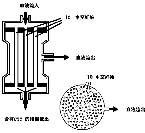 Method and device to detect and treat diseases such as tumor or virus infection