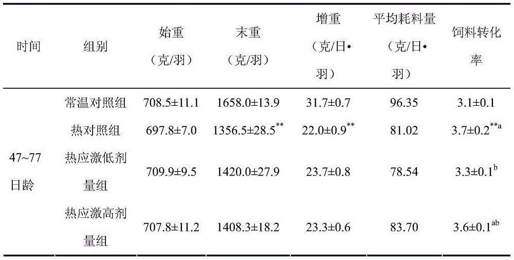 Application of tauroursodeoxycholic acid as a feed additive in alleviating heat stress in chickens