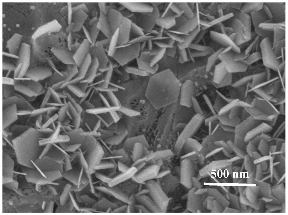 Hexagonal nanosheet composite film layer containing array macropores and preparation method of hexagonal nanosheet composite film layer