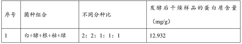 Composite bacterial agent, freeze-dried bacterial agent and apple pomace protein feed for fermenting apple pomace