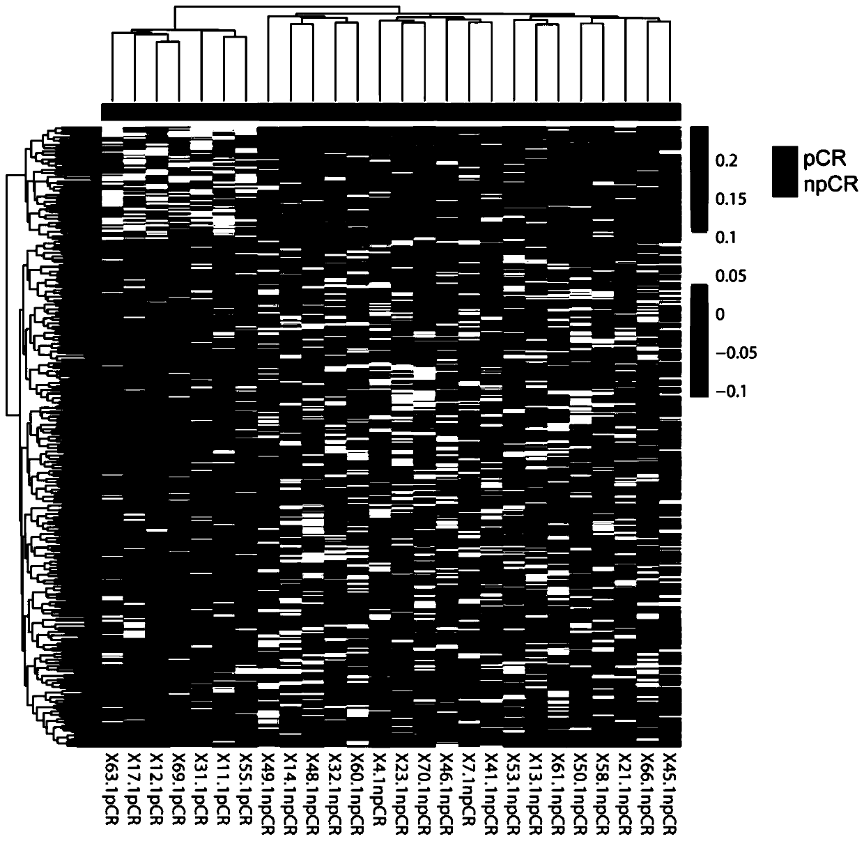 Method for constructing breast cancer neoadjuvant chemotherapy effect classification model