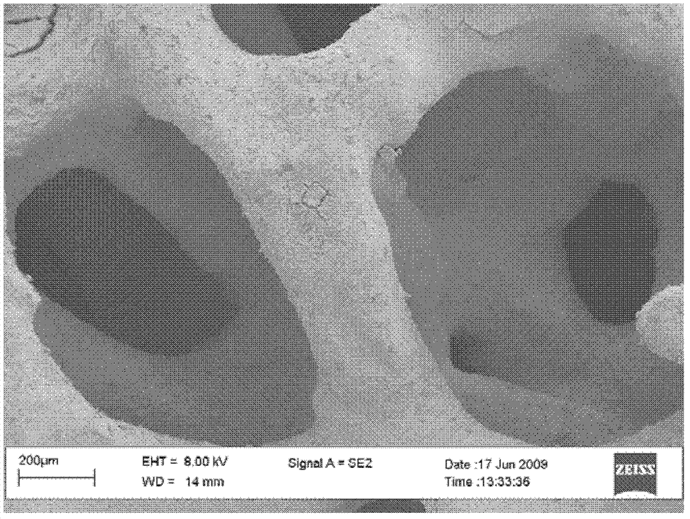 Titanium oxide coating/foam silicon carbide structure catalytic carrier and preparation method thereof