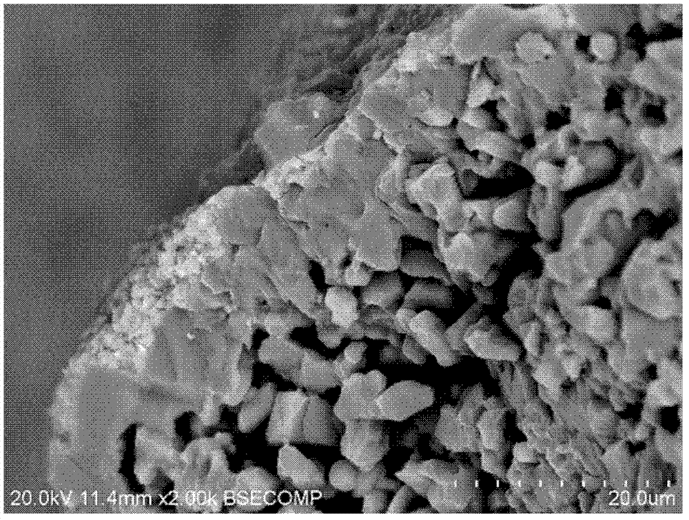 Titanium oxide coating/foam silicon carbide structure catalytic carrier and preparation method thereof