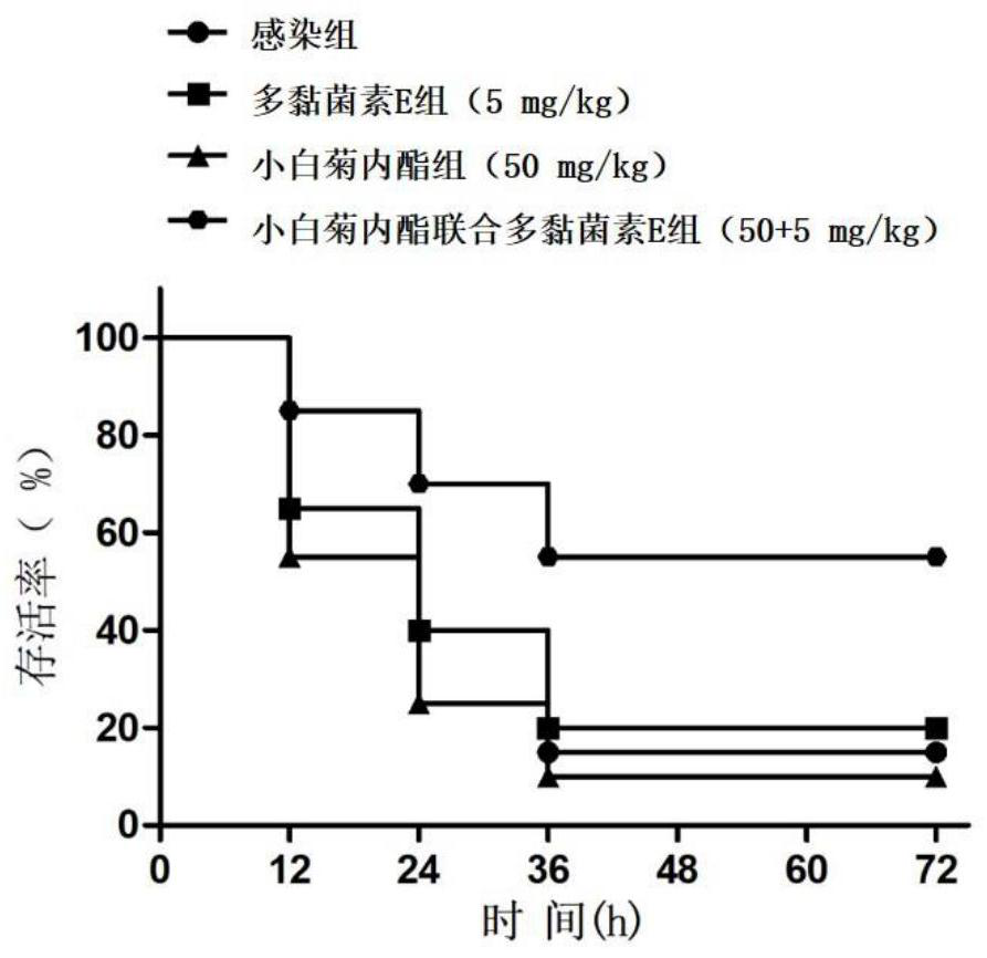 Application of parthenolide in preparation of MCR-1 enzyme inhibitor