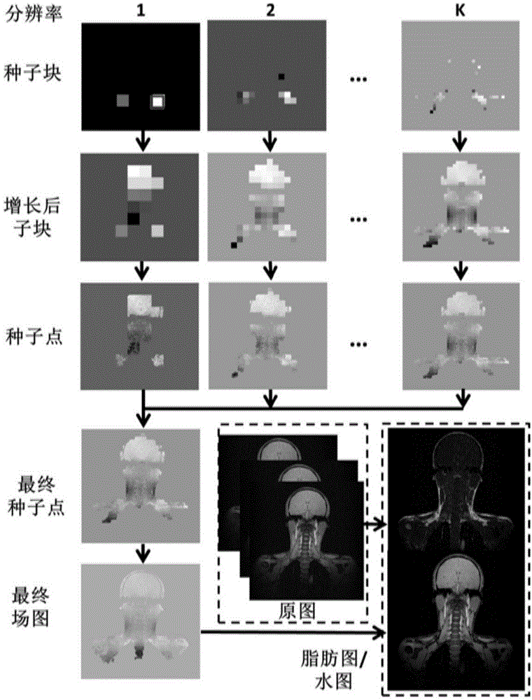 Method and system for realizing water-fat separation