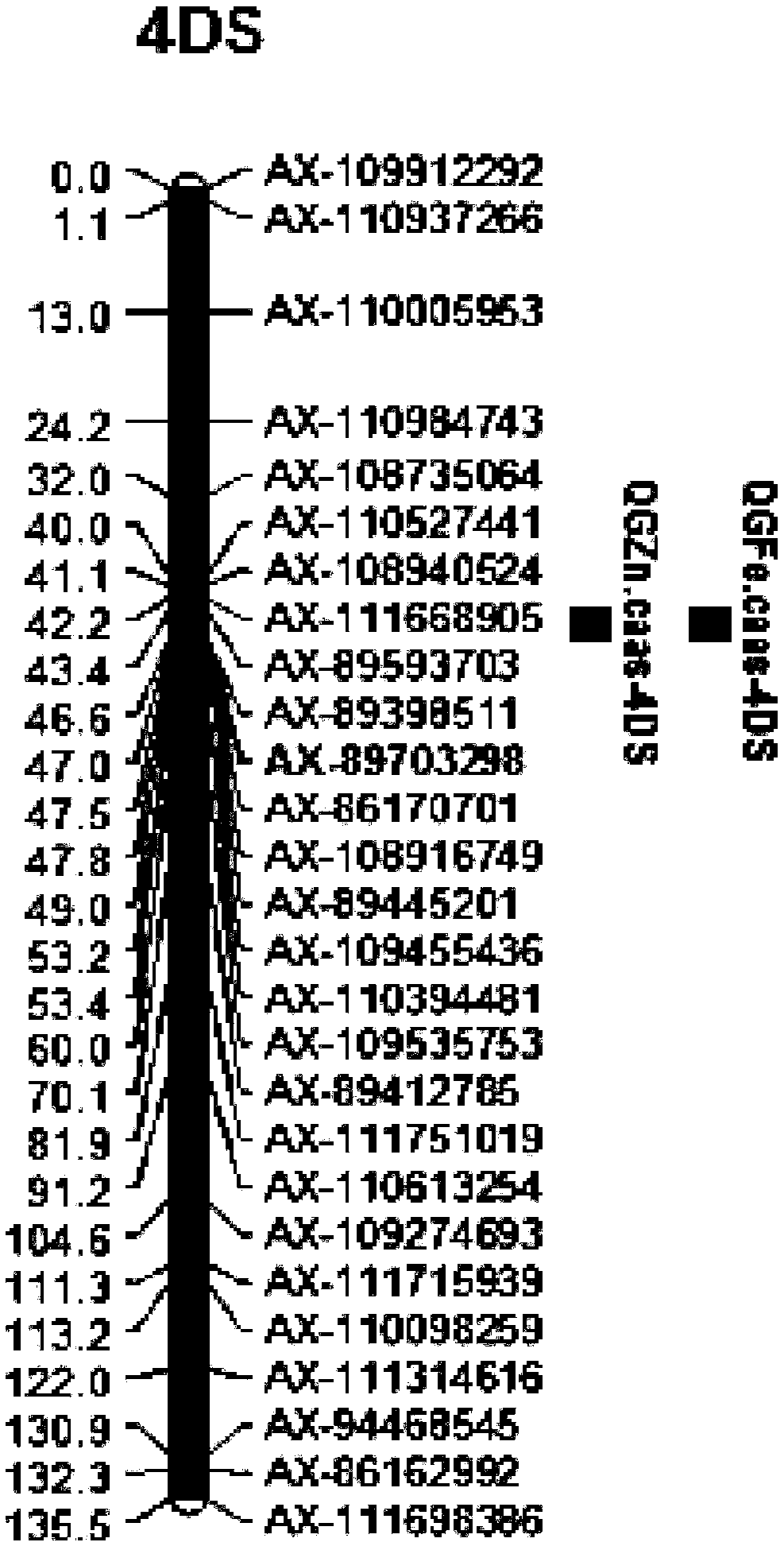 Method for screening wheat with different zinc contents and iron contents and special kit thereof