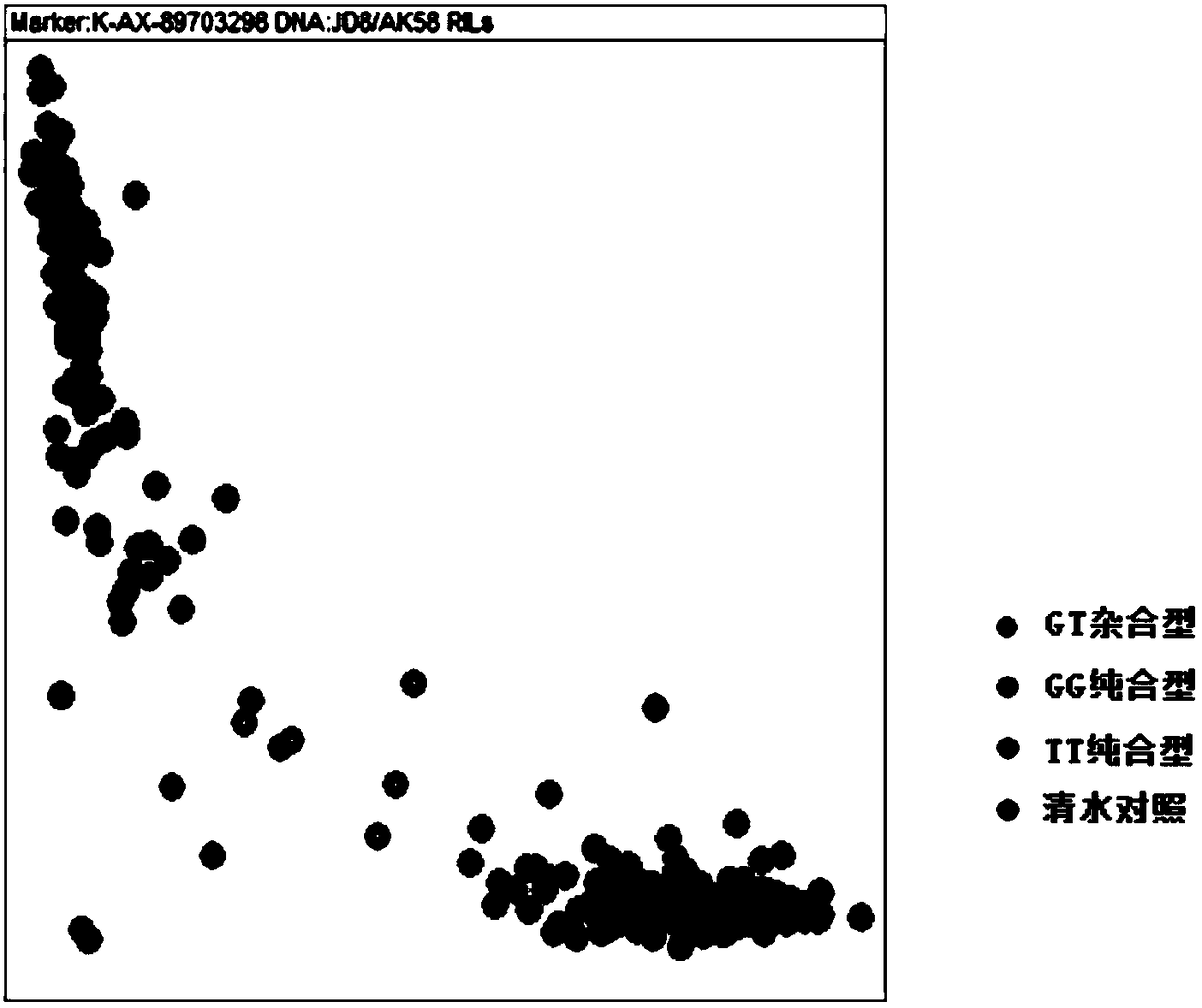 Method for screening wheat with different zinc contents and iron contents and special kit thereof