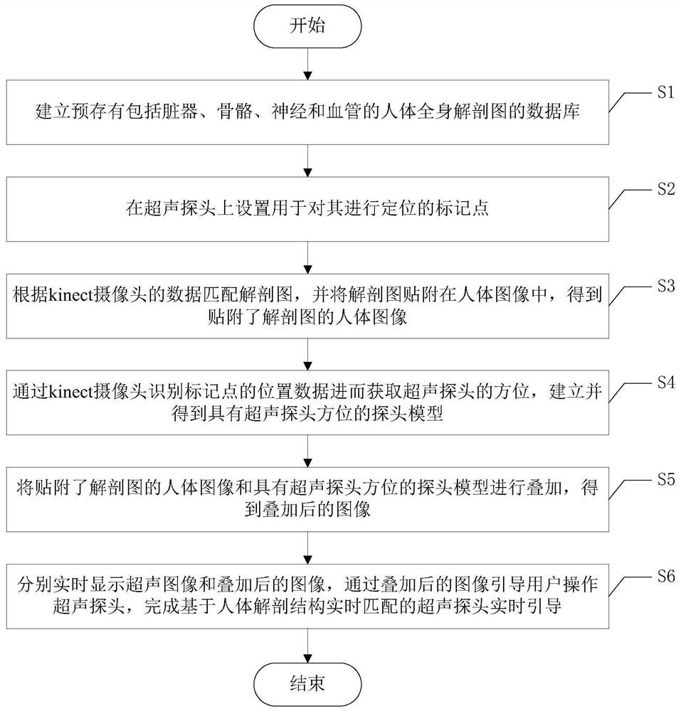 Ultrasonic probe guiding system and method based on human anatomical structure real-time matching