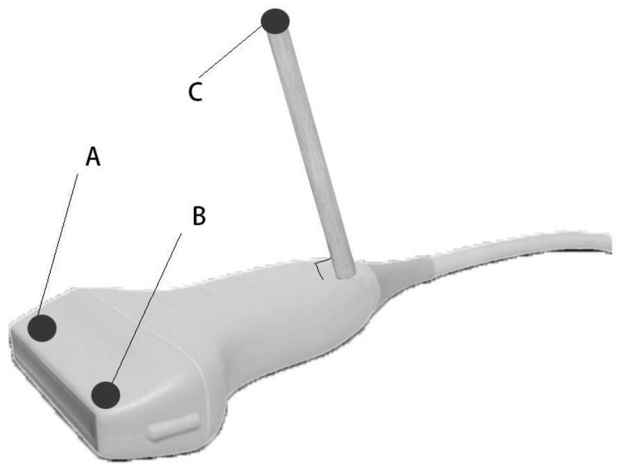 Ultrasonic probe guiding system and method based on human anatomical structure real-time matching