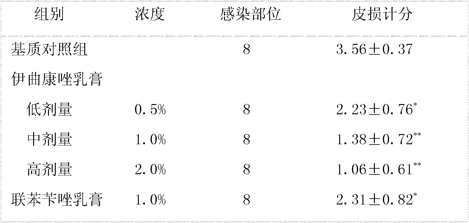 Nanometer itraconazole external preparation and preparation method and use thereof