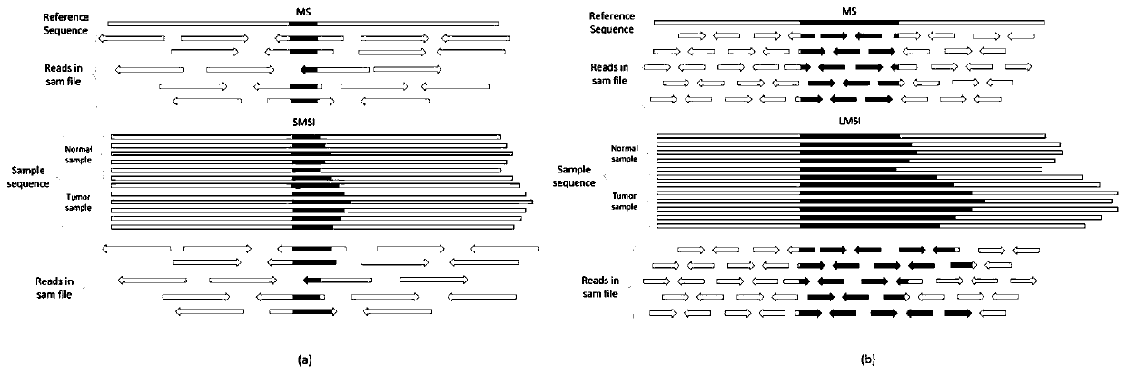 Genomic microsatellite wide-area length distribution estimation method considering tumor purity factors