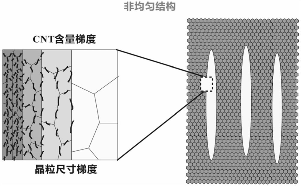 High-strength and tough carbon nanotube-reinforced aluminum composite material with heterogeneous structure and preparation method thereof