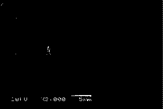 Granular cationic dye adsorbent and preparation method thereof