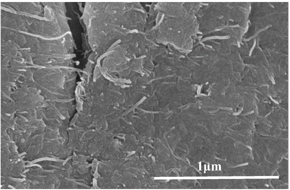 Electrochemical transducer based on graphene oxide and preparation method thereof