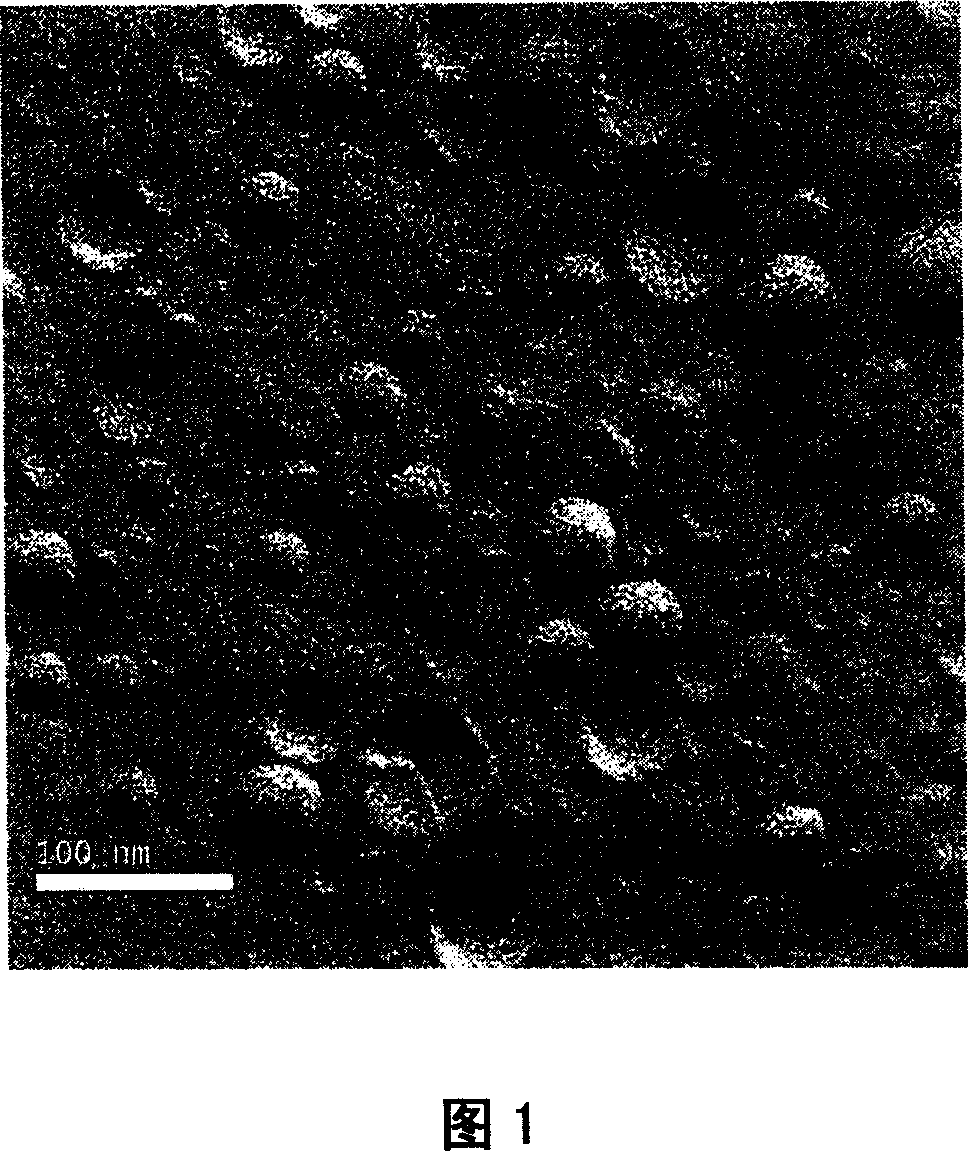 A nano micro-capsule emulsion of snake oil and method for preparing same