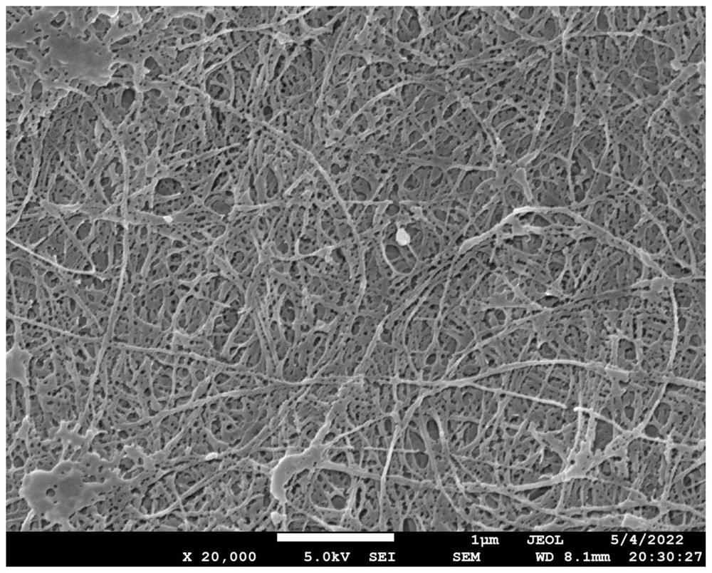 Preparation method of cross-linked organic-inorganic alkaline polyelectrolyte membrane