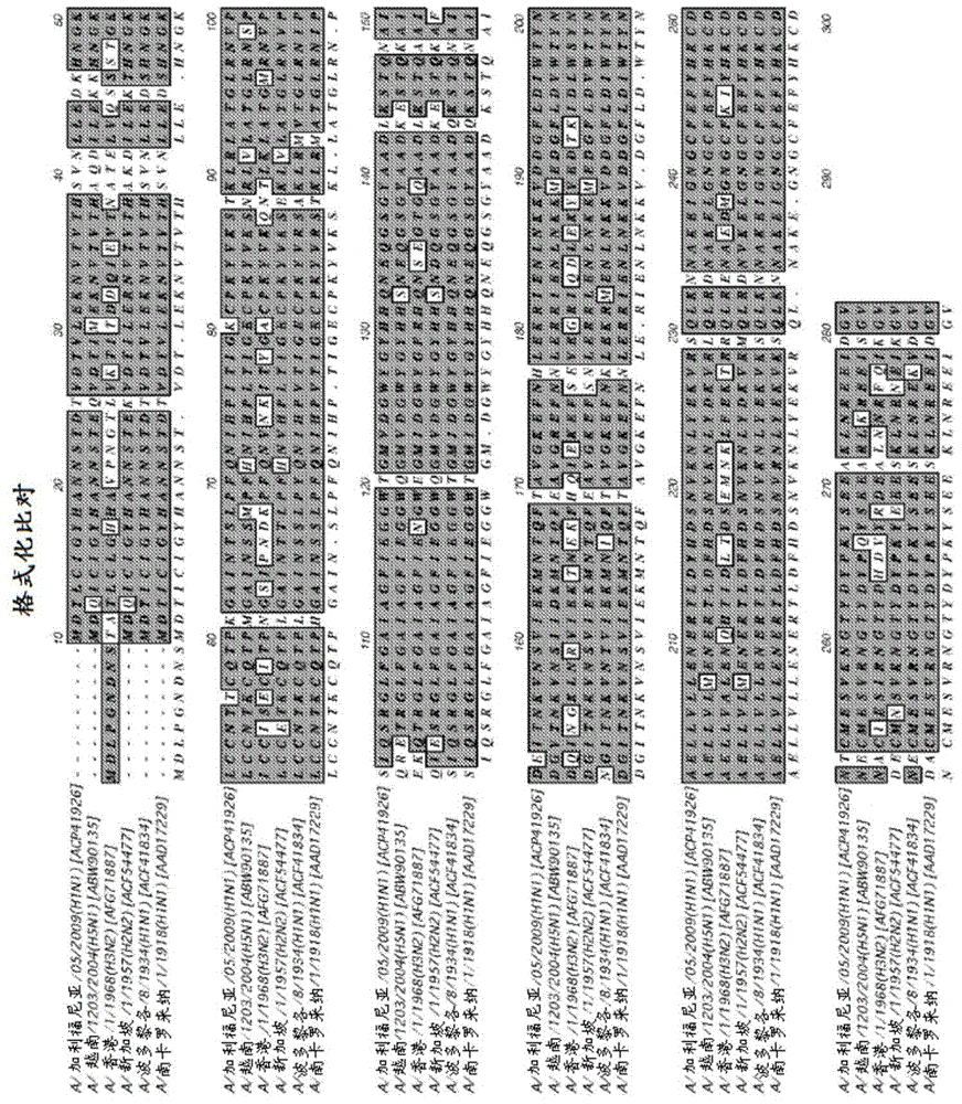 Influenza vaccine constructs