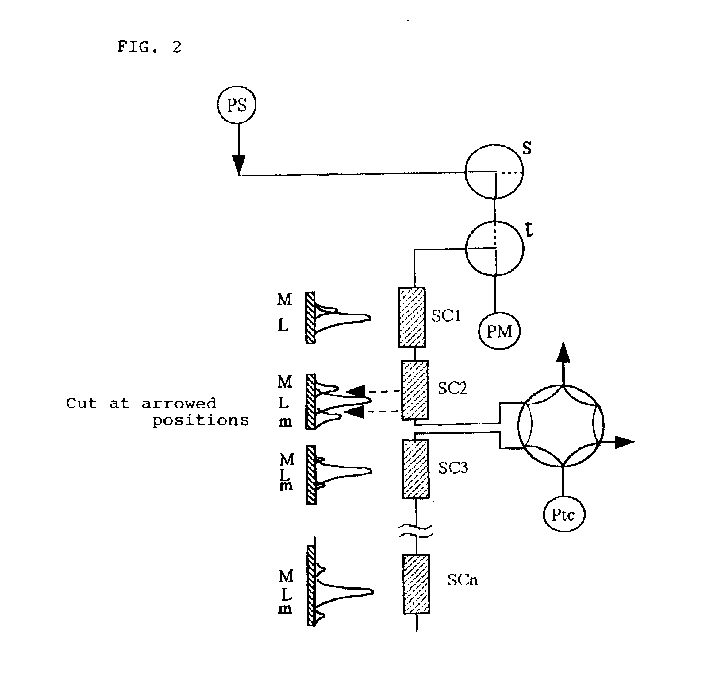 Preparative chromatography system and separation/purification method using same