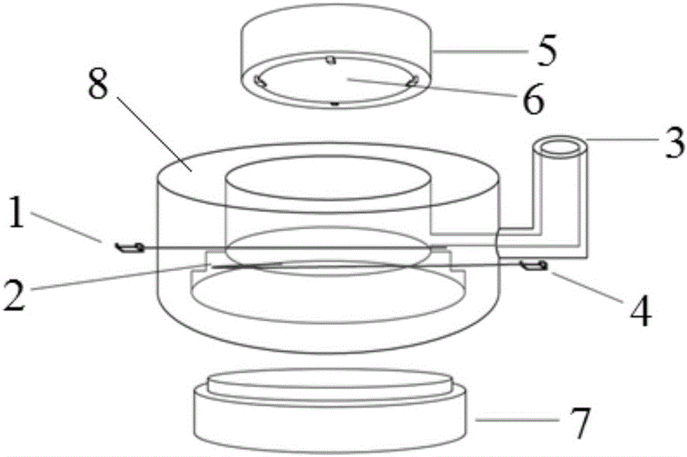 In-situ surface-enhanced Raman spectroscopy system and application thereof