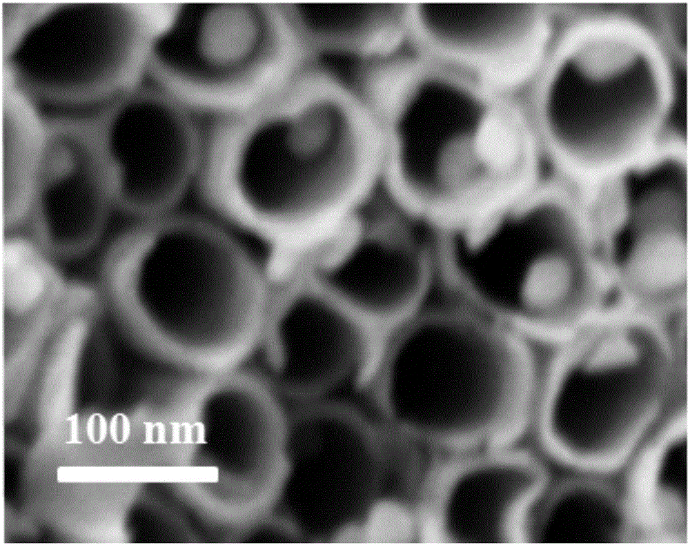 In-situ surface-enhanced Raman spectroscopy system and application thereof