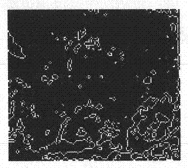 A method for pattern recognition of cancer cells using soft x-ray microscopic imaging