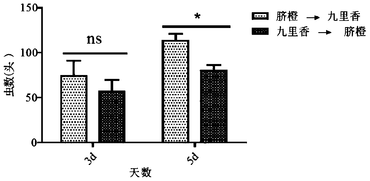 Diaphorina citri kuwayama green prevention and control method