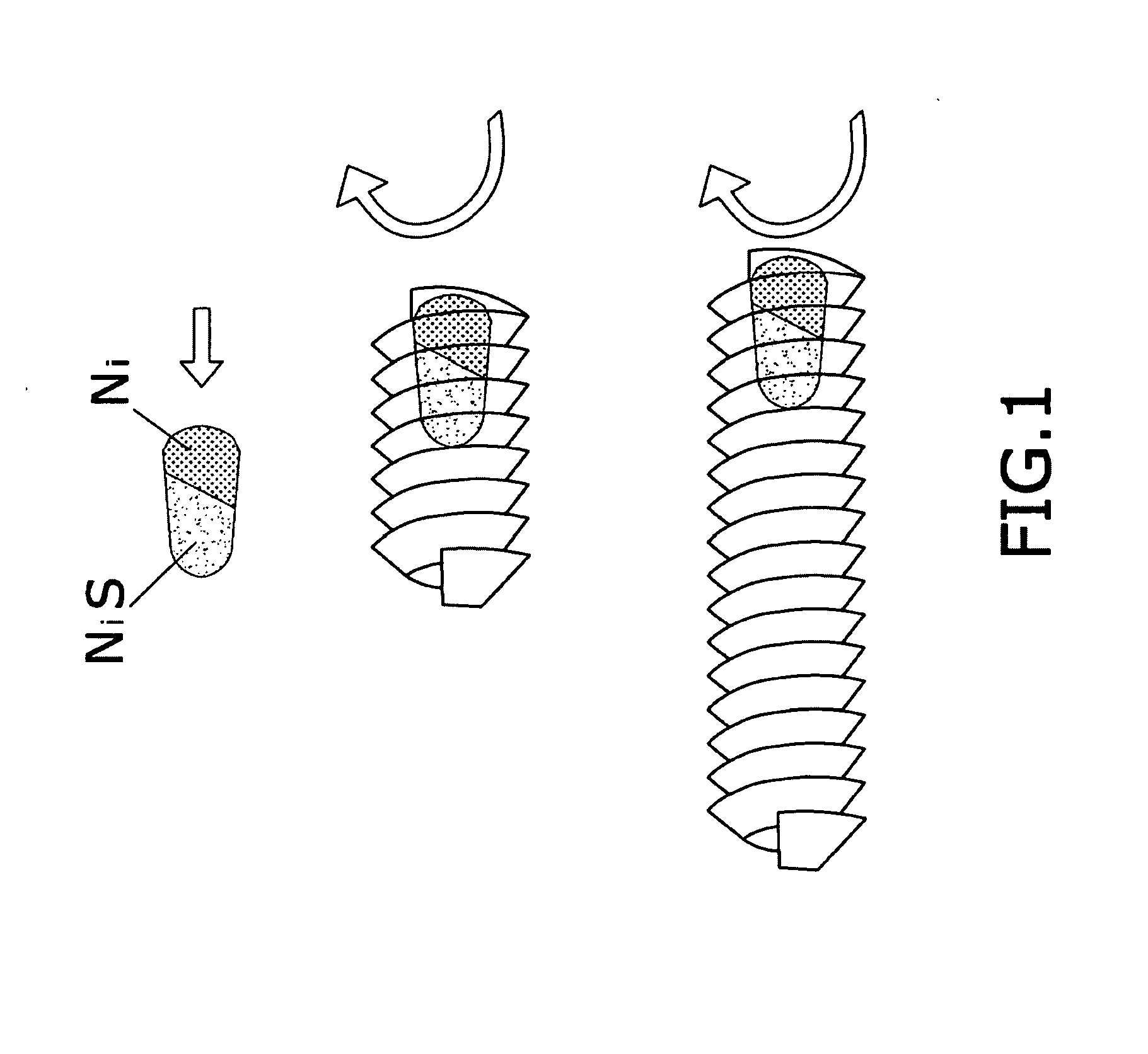 Carbon nanofibers and procedure for obtaining said nanofibers