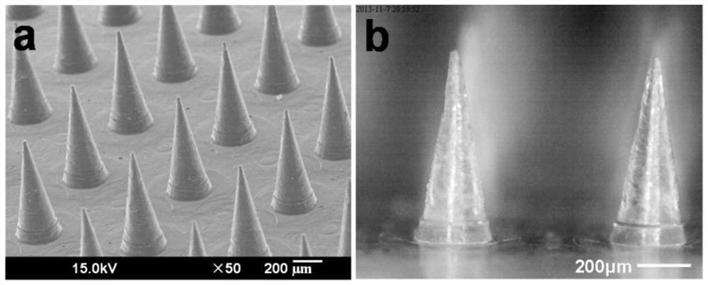 Salmon calcitonin soluble microneedle patch and preparation method thereof