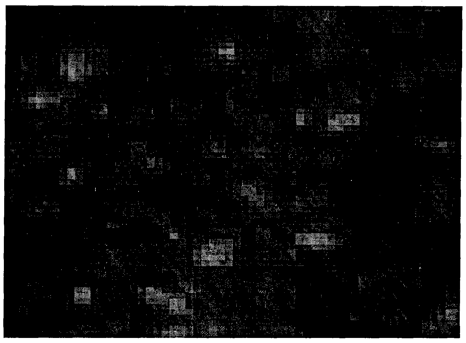 Particle-reinforced antiwear steel composite material and preparation method thereof