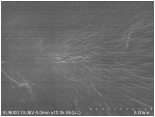 A kind of polydimethylsiloxane/nanometer cellulose composite film and preparation method thereof