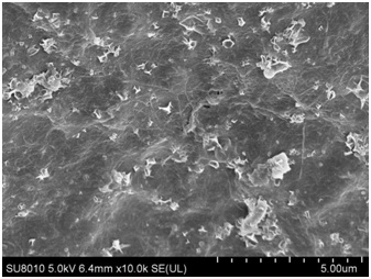 A kind of polydimethylsiloxane/nanometer cellulose composite film and preparation method thereof