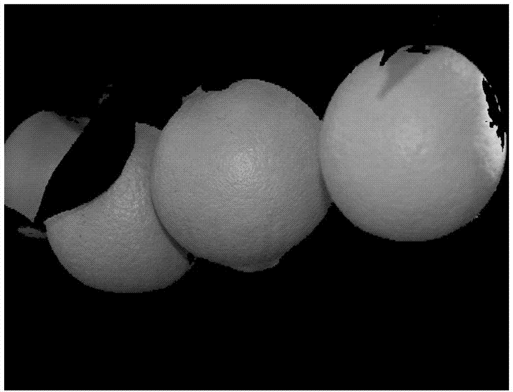 Navel orange image segmenting method based on adaptive step size harmony search algorithm