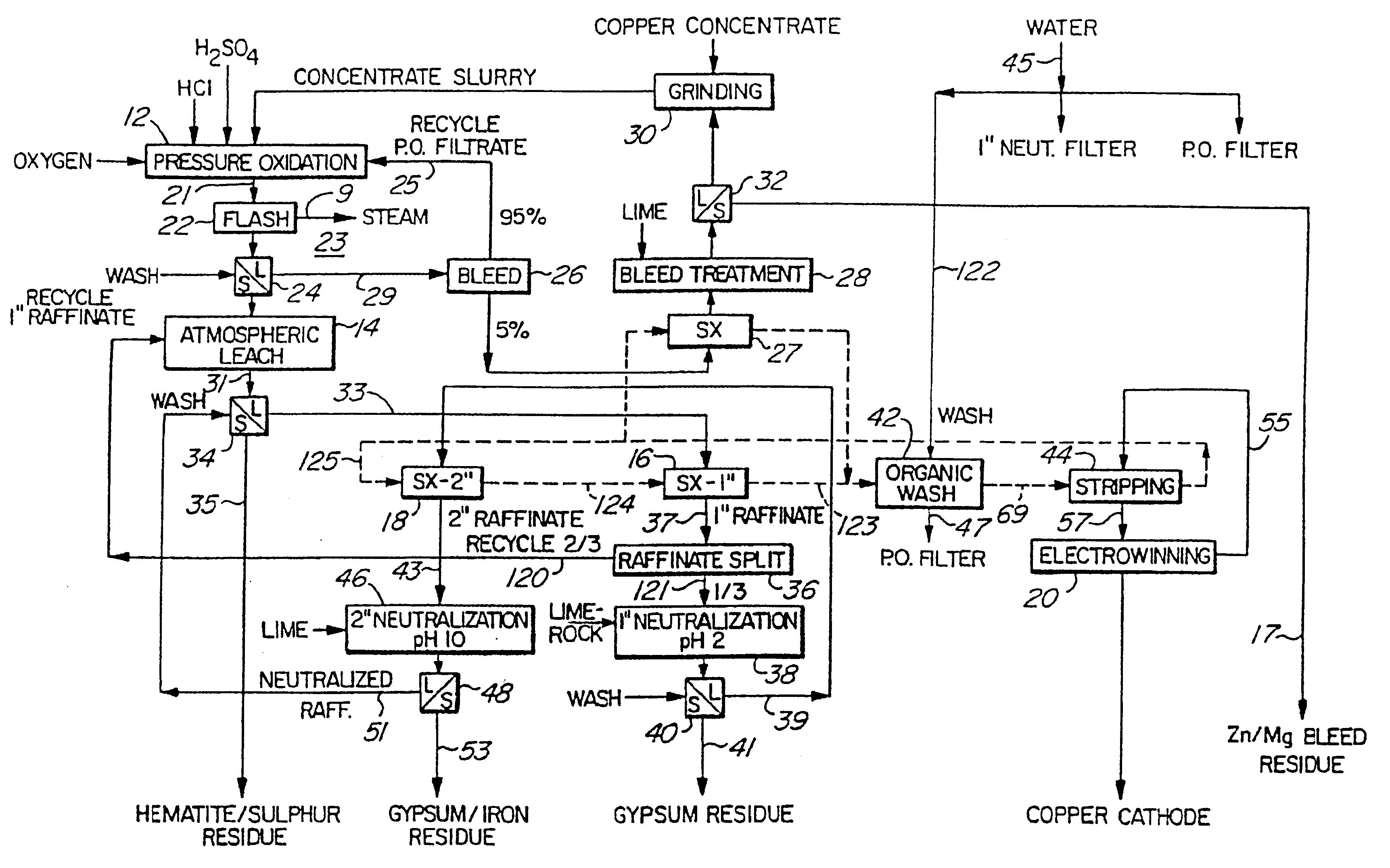 Chloride assisted hydrometallurgical extraction of metal