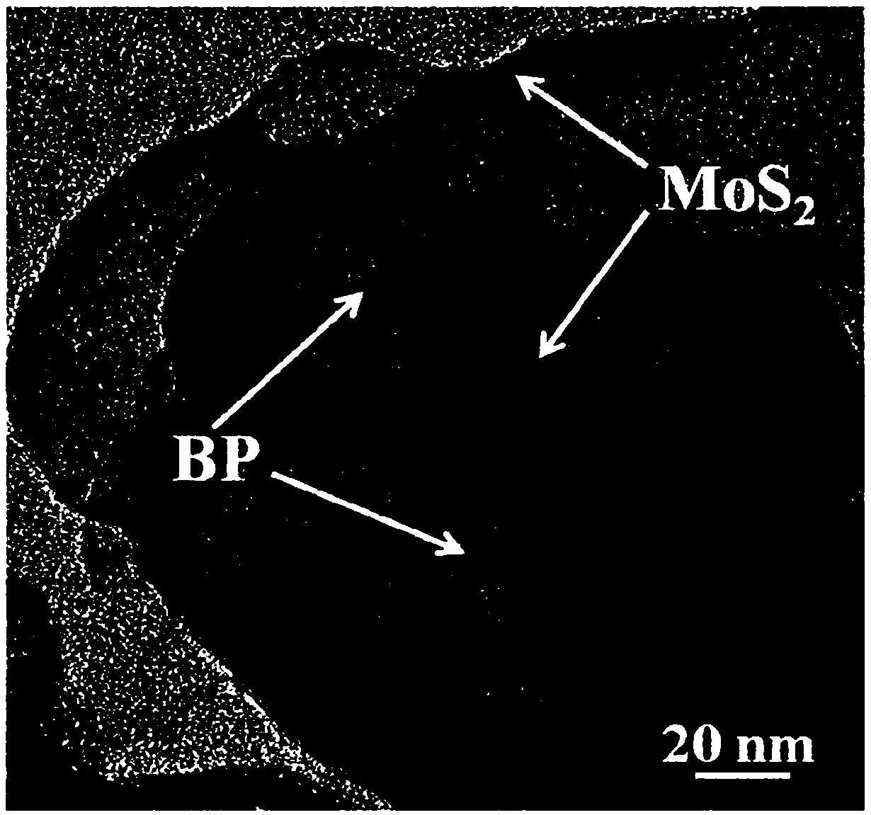 Novel two-dimensional black phosphorus nanosheet-MoS2 composite solar hydrogen production material as well as preparation method and application thereof