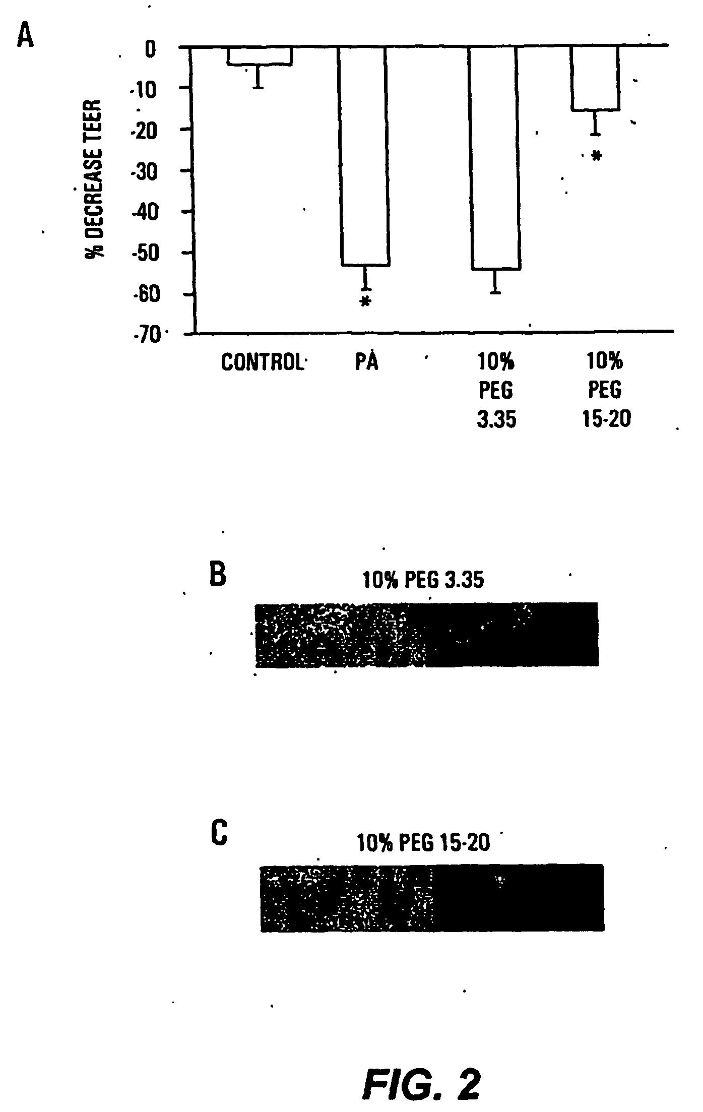 Materials and methods for preventing and treating microbe-mediated epithelial disorders