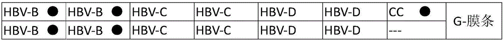 Nucleic acid membrane strips and kits for hbv typing and drug resistance mutation gene detection