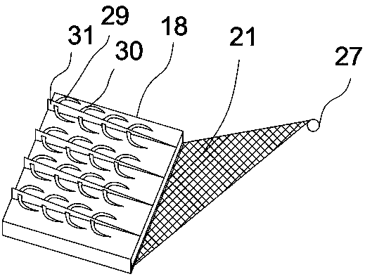 Multistage washing device of squids