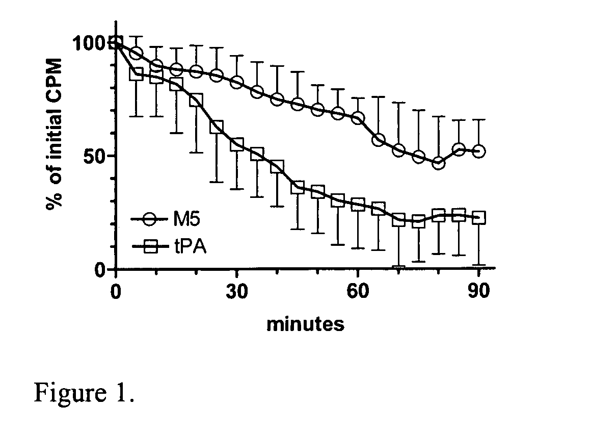 C-1 inactivator inhibits two-chain urokinase mutant and limits hemostatic bleeding during thrombolysis