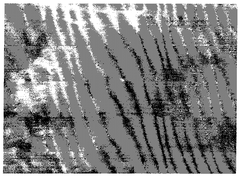 Infrared and visual pseudo-color image fusion and enhancement method